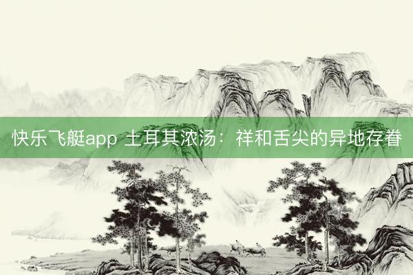 快乐飞艇app 土耳其浓汤:祥和舌尖的异地存眷